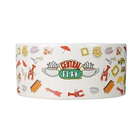 Friends™ 'Joey Doesn'T Share Food' Ceramic Pet Bowl, 6In (3.5 Cups)