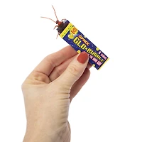Prankz Fun™ Roach Gum