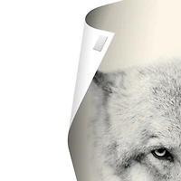 postups™ poster mounts - 16 tabs