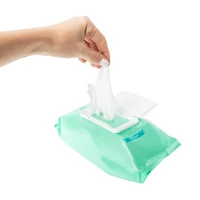 Wet Ones For Pets!™ Hypoallergenic Multi-Purpose 100-Wipes