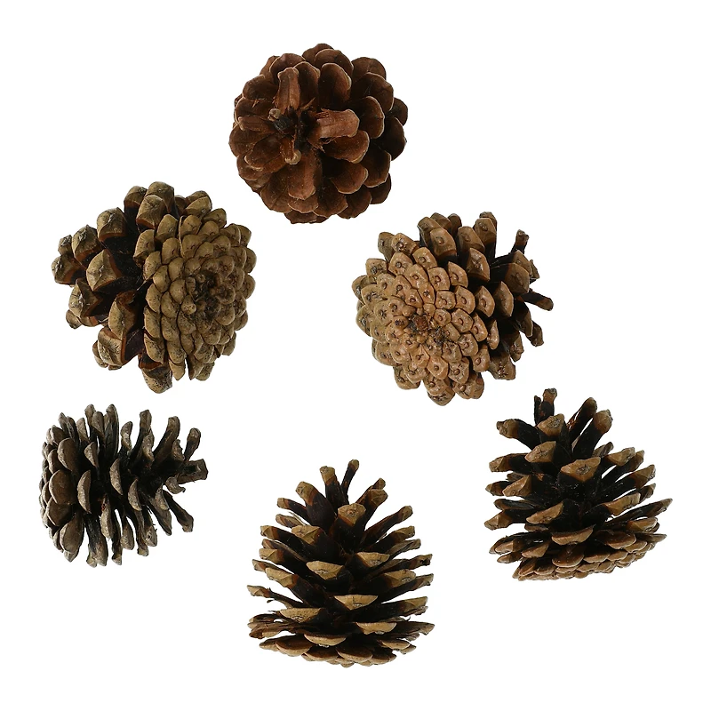Christmas Pine Cones
