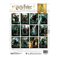 Harry Potter™ Posters 12-Count
