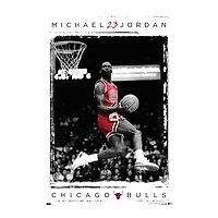 Michael Jordan Chicago Bulls Poster 22.37in x 34in