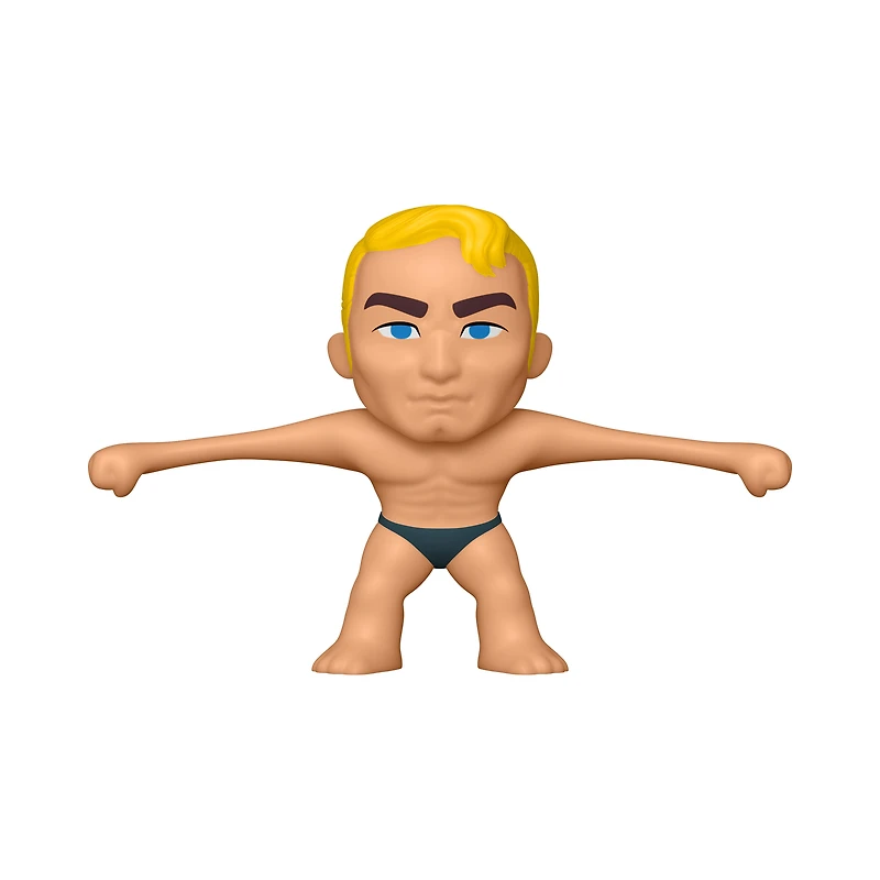 Funko Mystery Minis retro toys specialty series