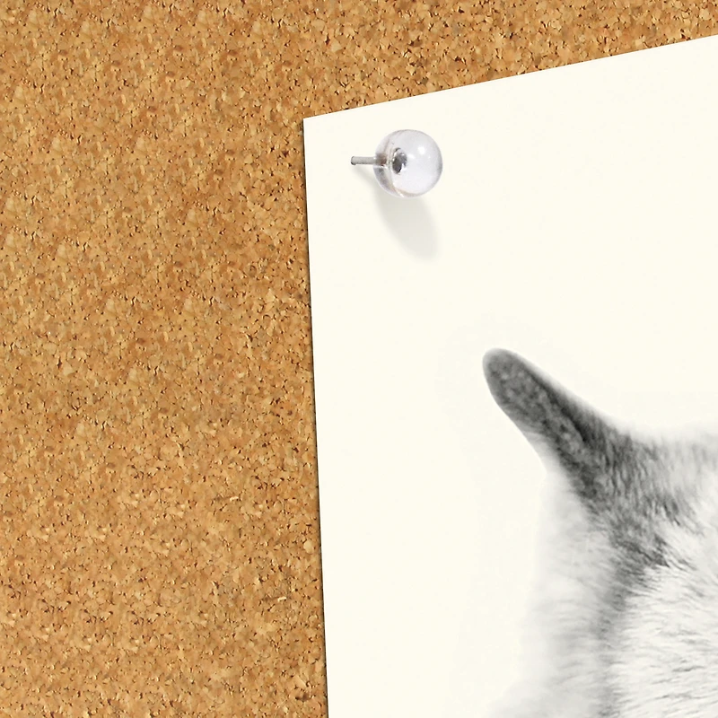 Clear Pushpins 30-Count