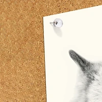 Clear Pushpins 30-Count