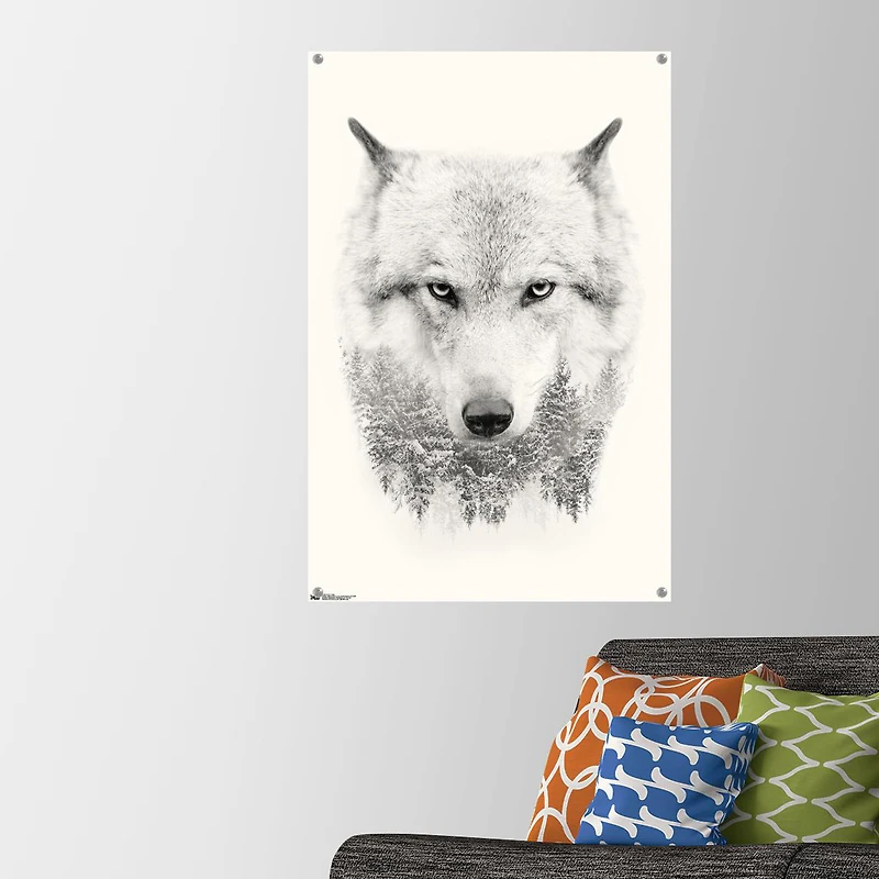 Clear Pushpins 30-Count