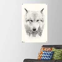 Clear Pushpins 30-Count