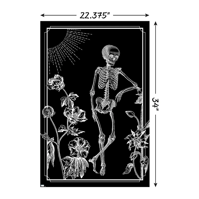 Skeleton In Nature Poster 22.375in x 34in