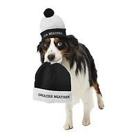 matching pet & owner beanie hats set