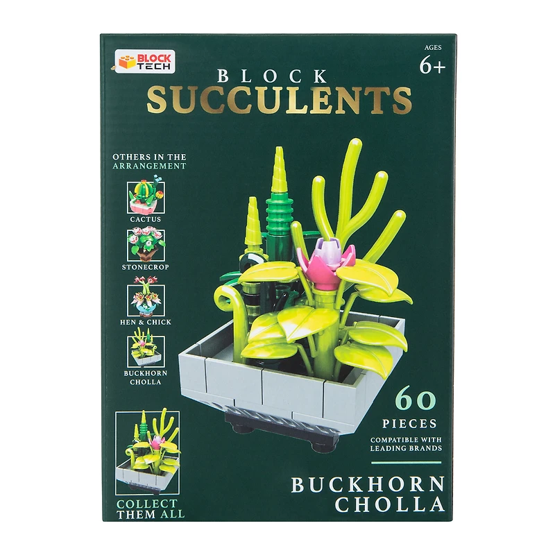Block Tech® Succulents Set