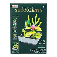 Block Tech® Succulents Set