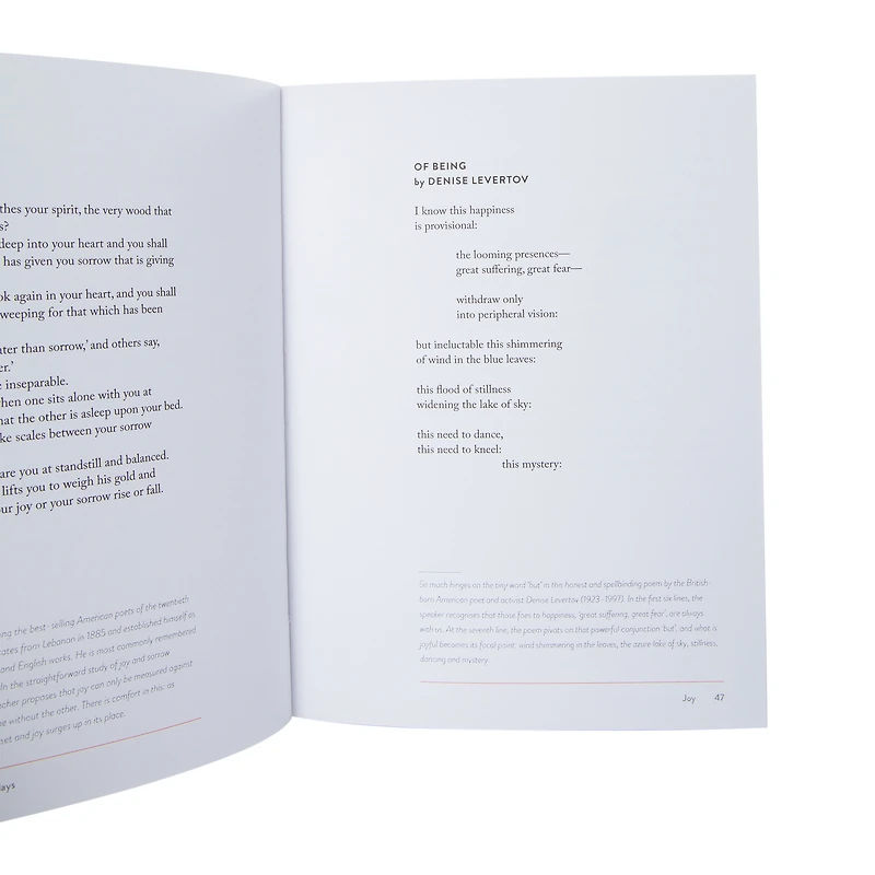 Bright Poems For Dark Days By Julie Sutherland