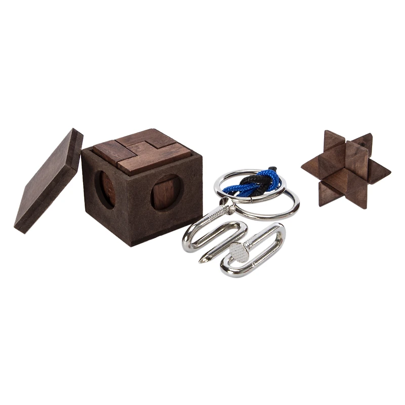 Brain Busters Wood & Metal Brain Puzzles 4-Piece Set