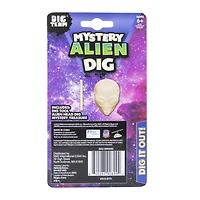 Dig Team® Mystery Kit