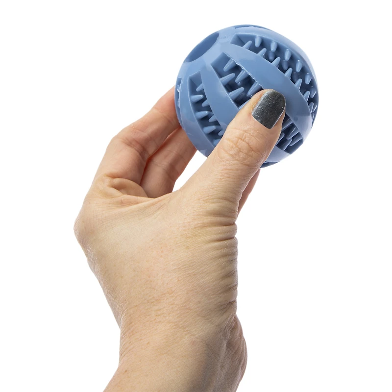 Treat Ball Chew Pet Toy