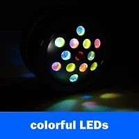 Remote Control Spin & Roll Disco