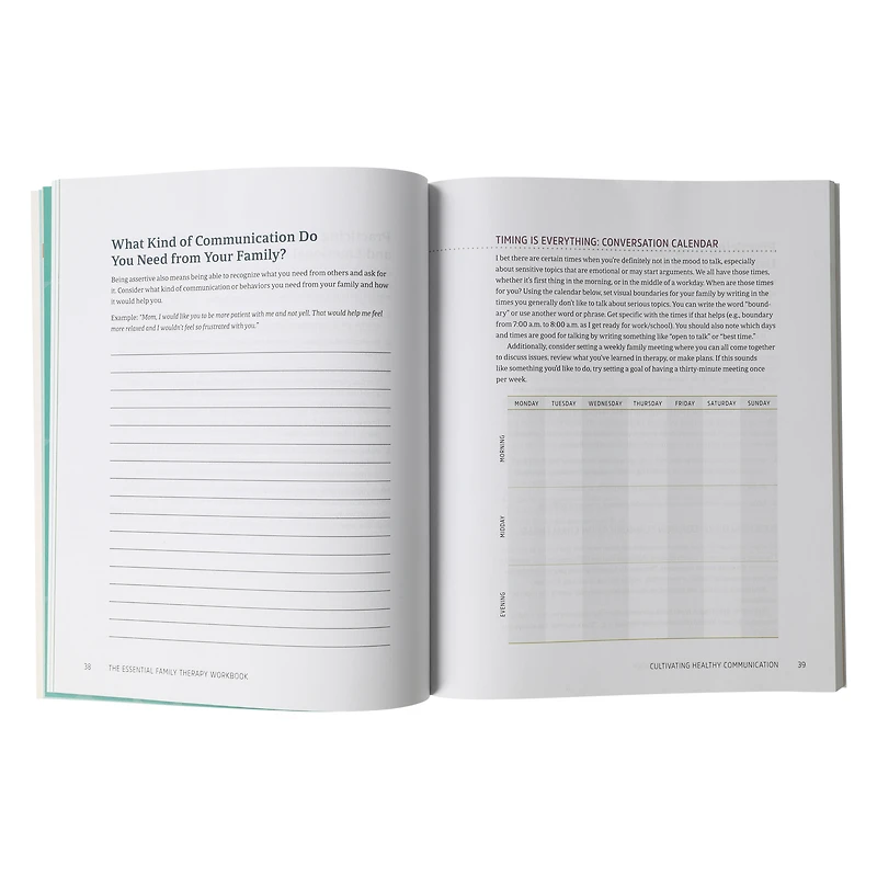 The Essential Family Therapy Workbook