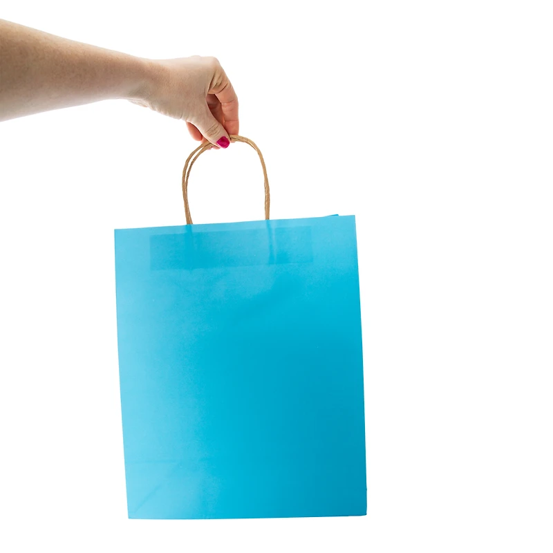 Recyclable Eco-Friendly Large Gift Bags 5-Count