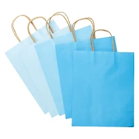 Recyclable Eco-Friendly Large Gift Bags 5-Count