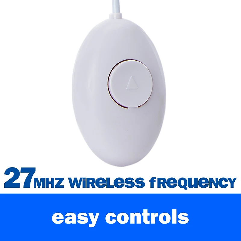 Remote Control Toy Story Slinky Dog