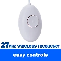 Remote Control Toy Story Slinky Dog