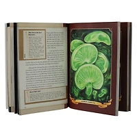 The Little Book Of Mushrooms