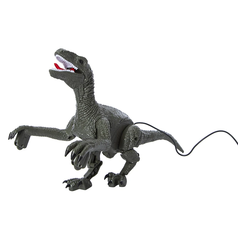 Wired Remote Control Velociraptor