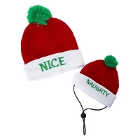 matching pet & owner christmas beanie hats set