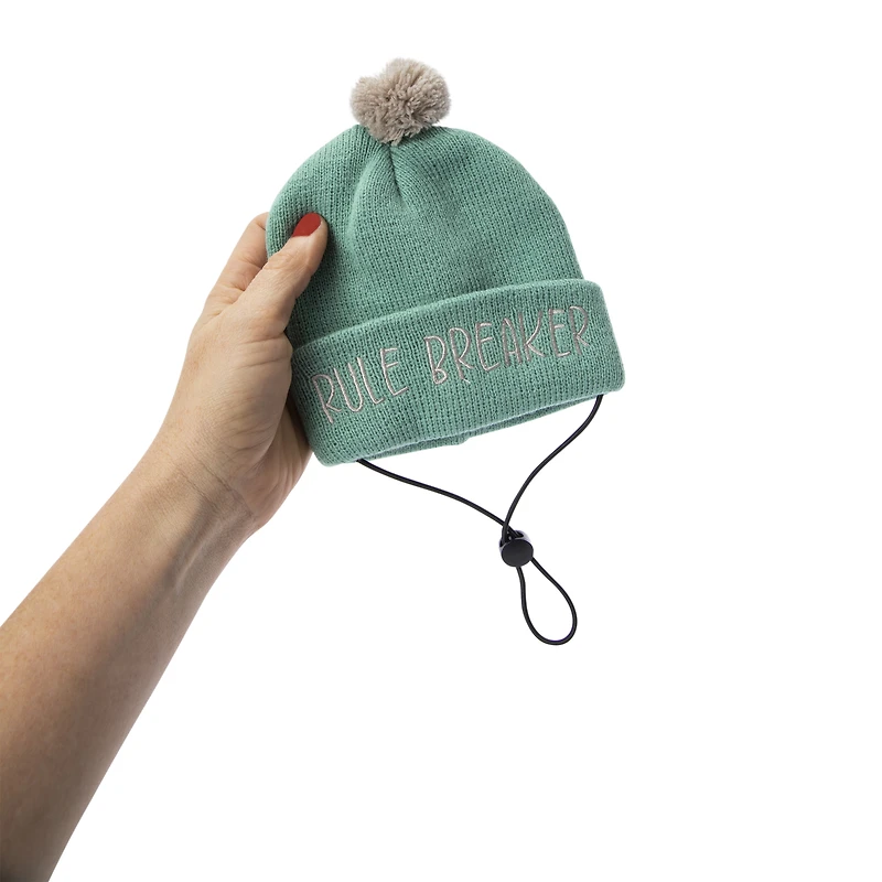 Matching Pet & Owner Fall Beanie Hats Set