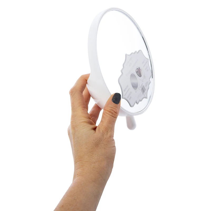 Vanity Mirror With Storage Compartment