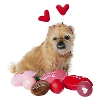 Valentine's Day Pet Heart Headband