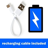 Micro Flyer Nano Cage