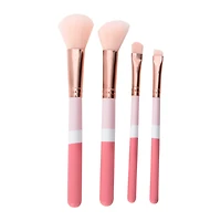 Pink Makeup Brush Set With Reusable Bag