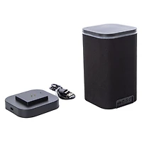 Spectrum LED Wireless Bluetooth® Speaker With Charging Dock