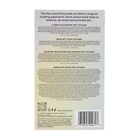 Freeman® Magical Multi-Masking 4-Piece Set