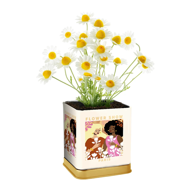 Grow Your Own Herb Kit Decorative Tin 3in