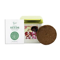 Grow Your Own Herb Kit Decorative Tin 3in