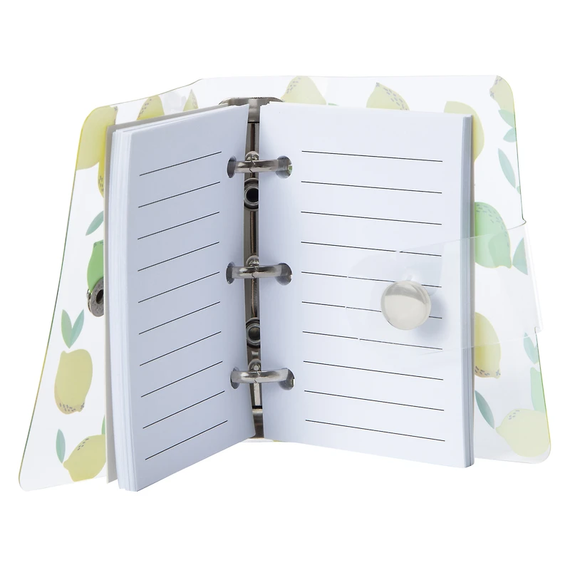 Mini Clasp Journal 3.93in x 3.7in