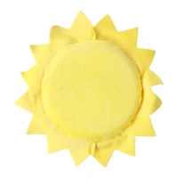 Sun Disc Dog Toy