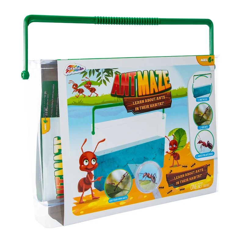 Grafix® Bug Maze Habitat Kit
