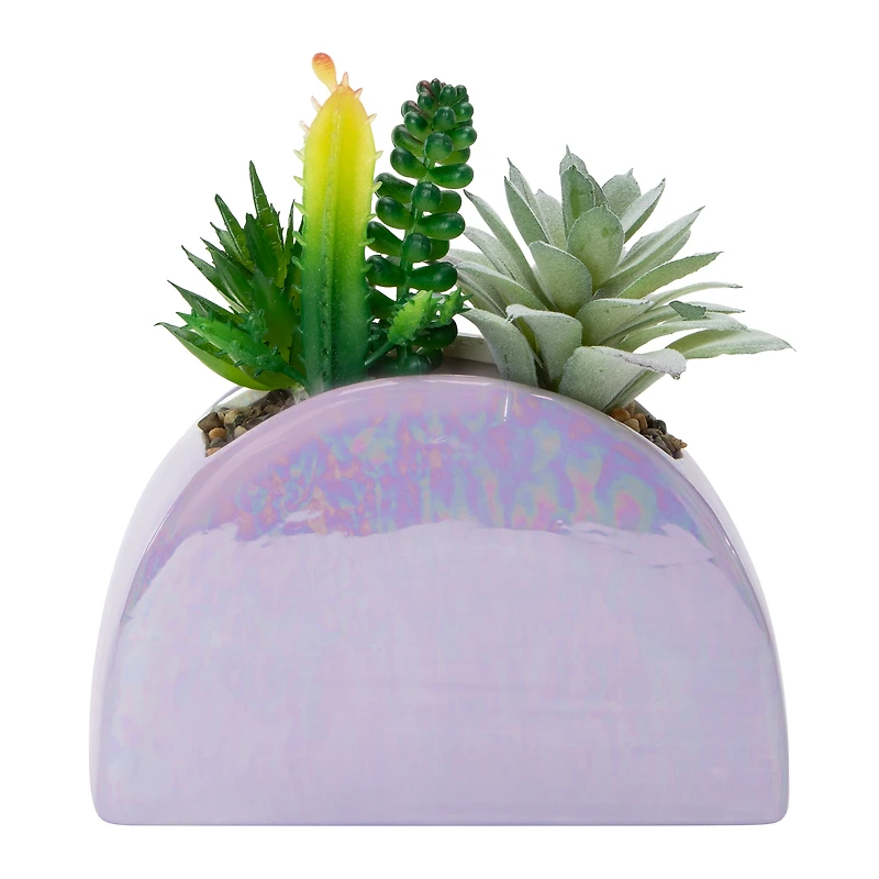 Rainbow Ceramic Faux Plant 5.9in x 6.5in