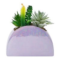 Rainbow Ceramic Faux Plant 5.9in x 6.5in