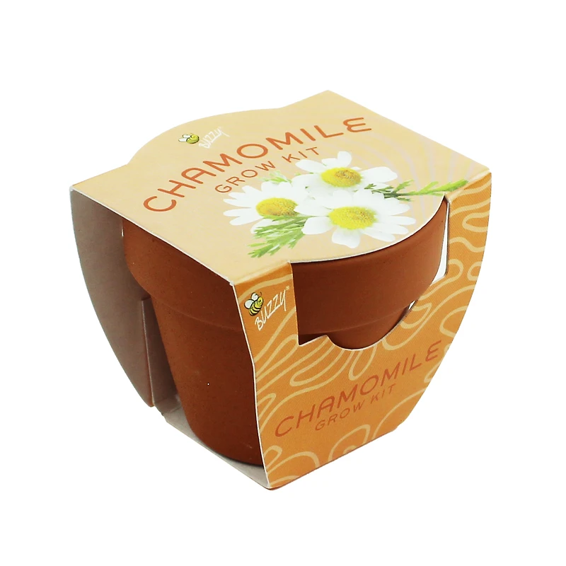 Mini Plant Grow Kit With Terra Cotta Pot