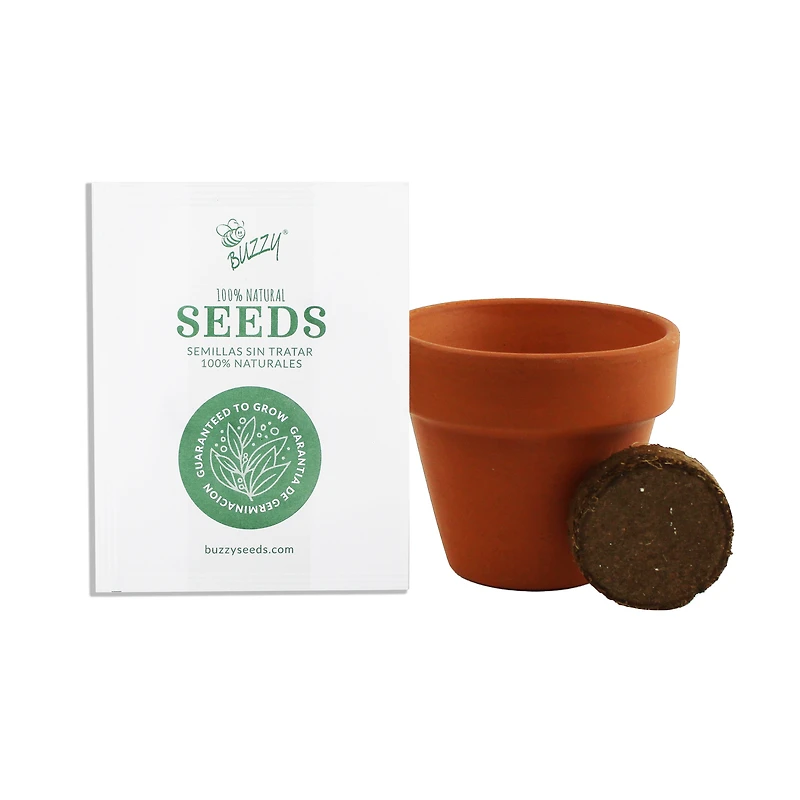 Mini Plant Grow Kit With Terra Cotta Pot
