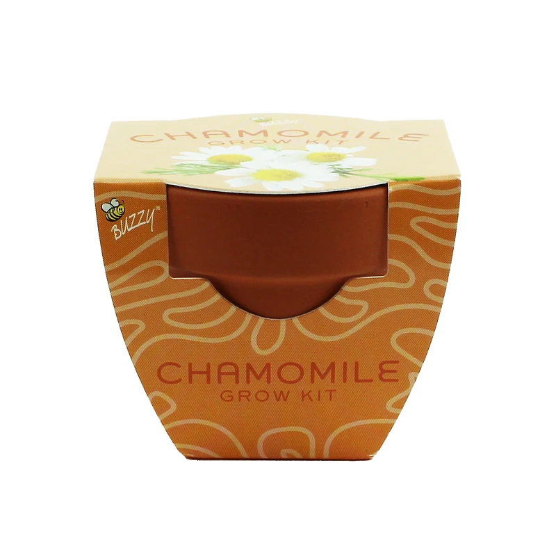 Mini Plant Grow Kit With Terra Cotta Pot