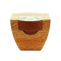 Mini Plant Grow Kit With Terra Cotta Pot