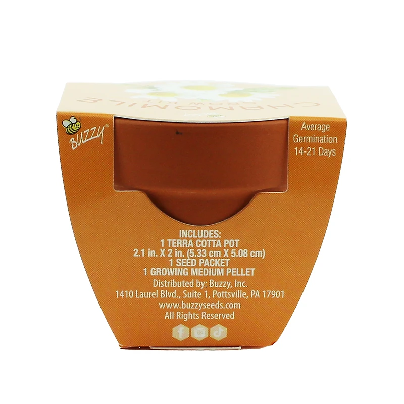 Mini Plant Grow Kit With Terra Cotta Pot