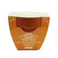 Mini Plant Grow Kit With Terra Cotta Pot