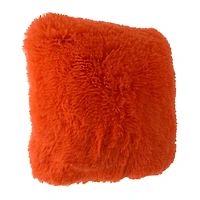 Plush Pillow 16in x 16in